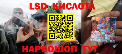 крисы Кинель